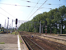 min 173 18.jpg min 173 18.jpg